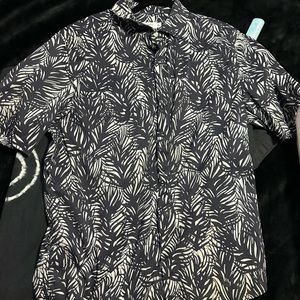 Bologaro Button down